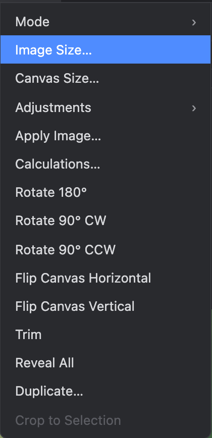 The Image menu with Image Size highlighted