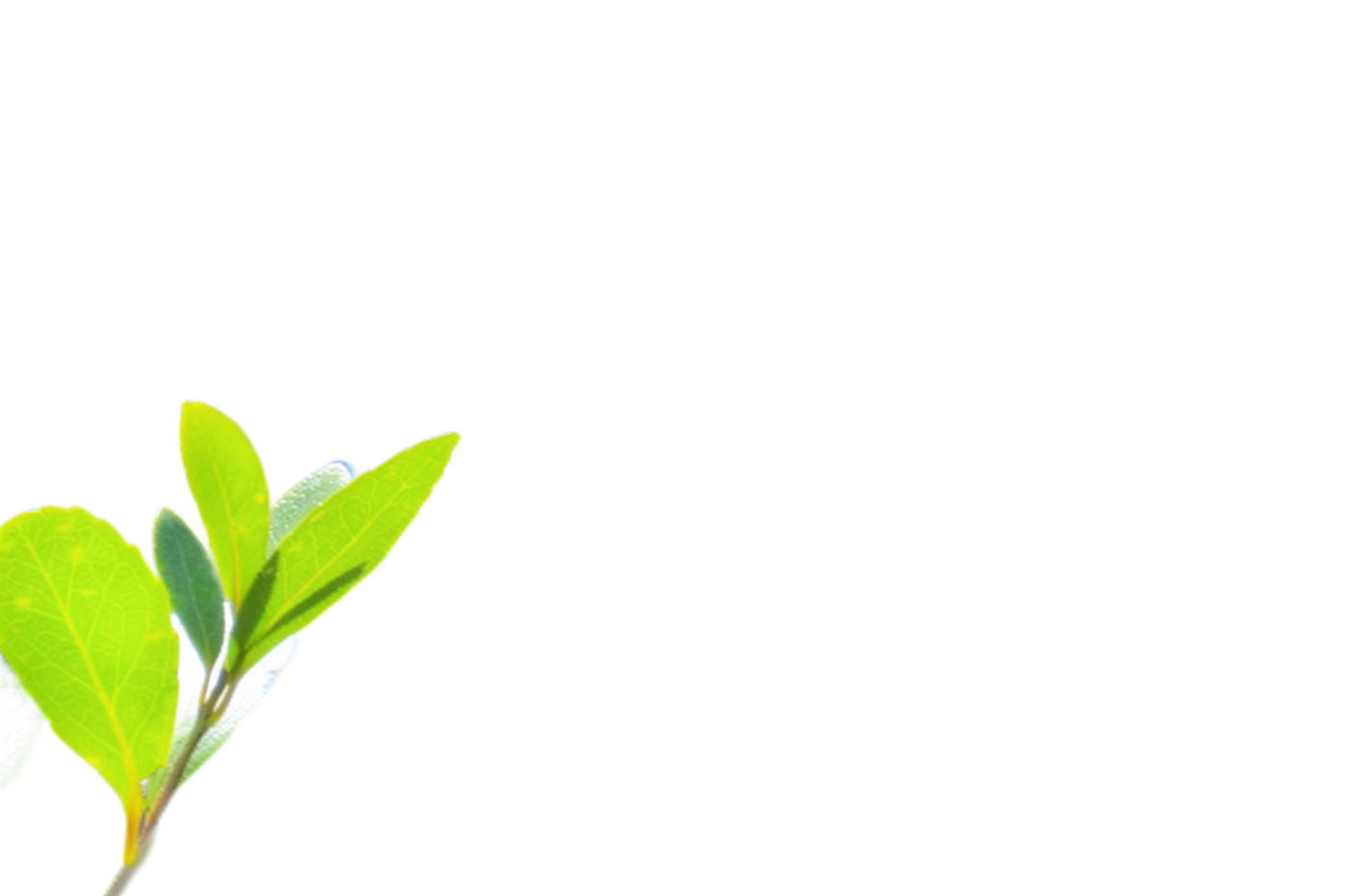 Ideogram Remove Background result: Green on green